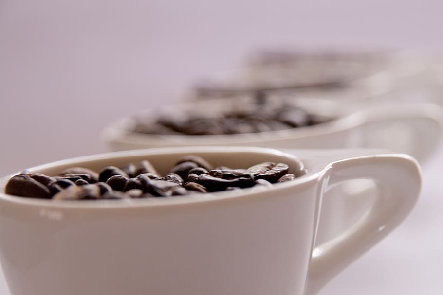 coffee, cups, row, beans, food and drink, studio shot, refreshment HD wallpaper