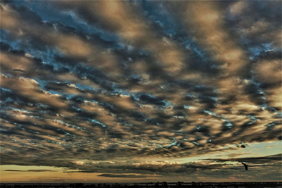 sky, clouds, bird, kontast, cloud - sky, beauty in nature, no people HD wallpaper