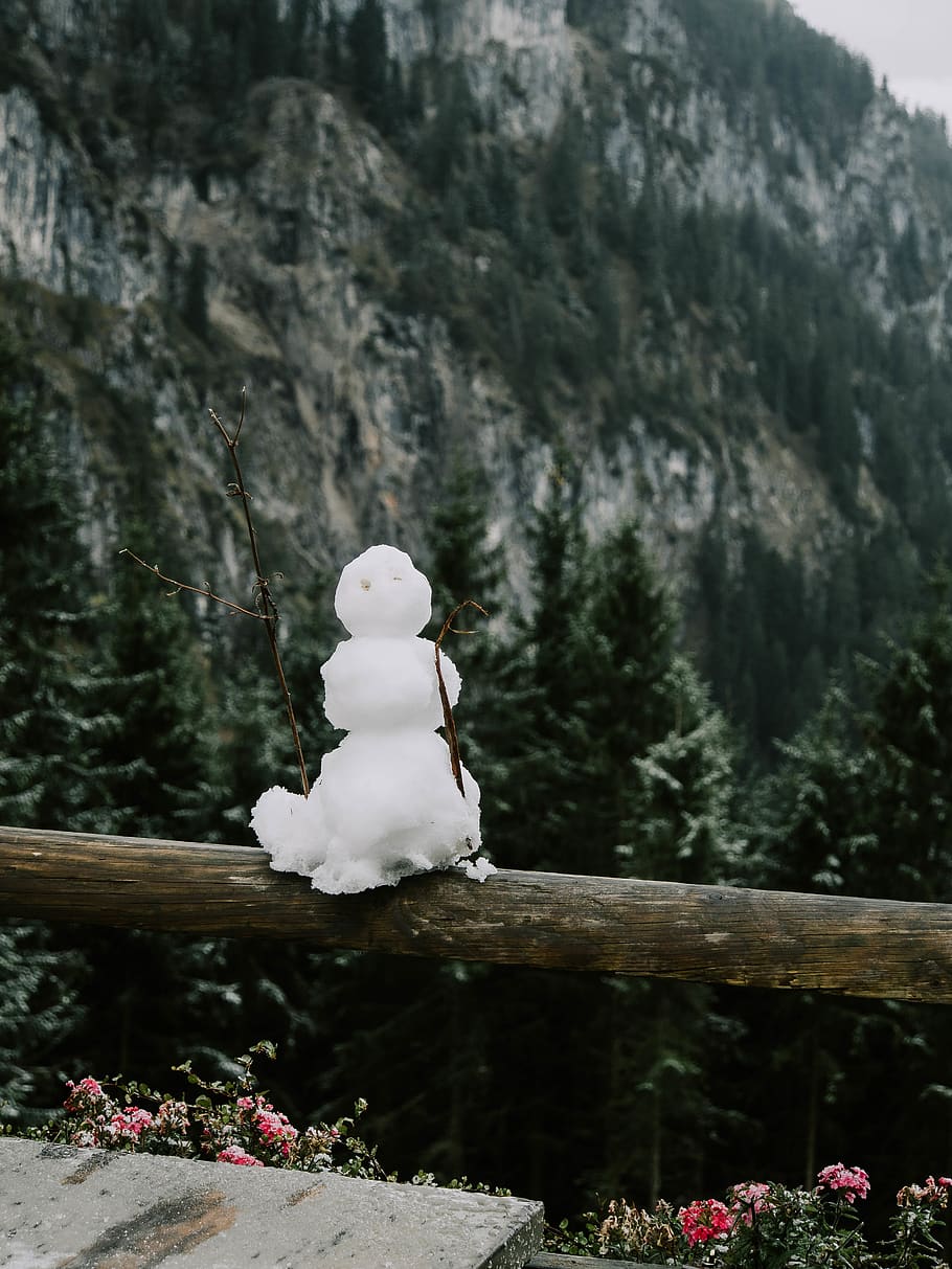 snowman, trees, winter, mountains, plant, no people, day, nature HD wallpaper