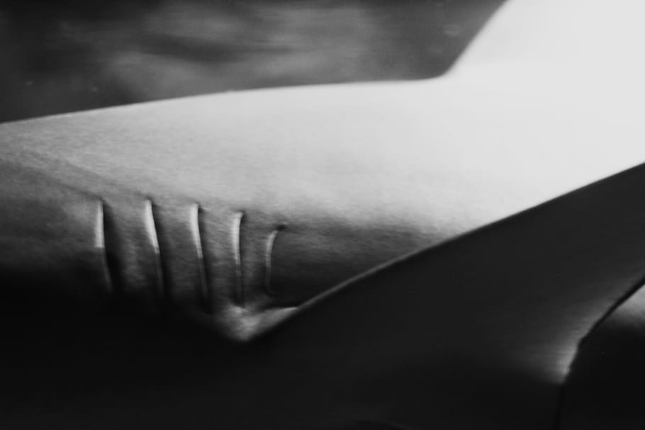 human body part, one person, human hand, human skin, close-up HD wallpaper