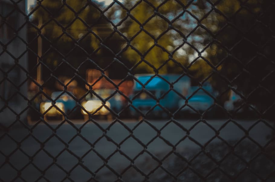 fence, chainlink fence, protection, security, barrier, boundary HD wallpaper