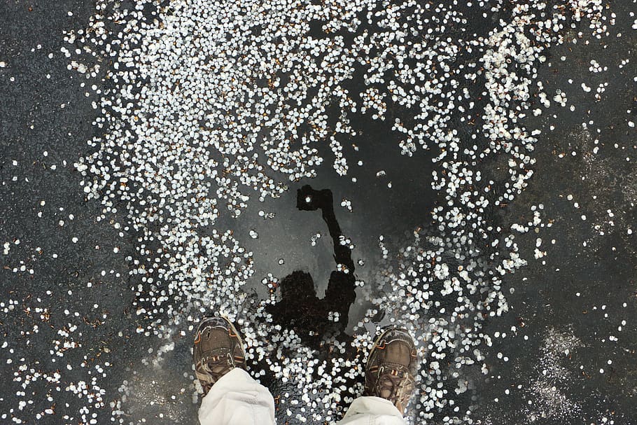 selphie, puddle, reflection, petals, dots, human body part HD wallpaper