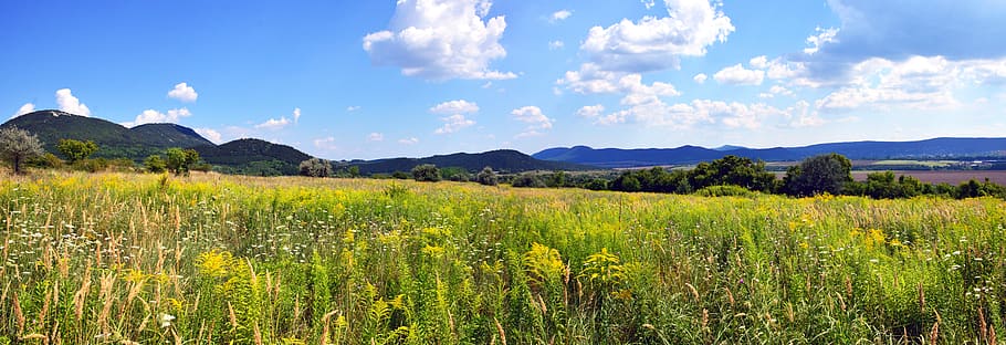 field, sky, cloud, green, nature, landscape, mood, grass, meadow HD wallpaper