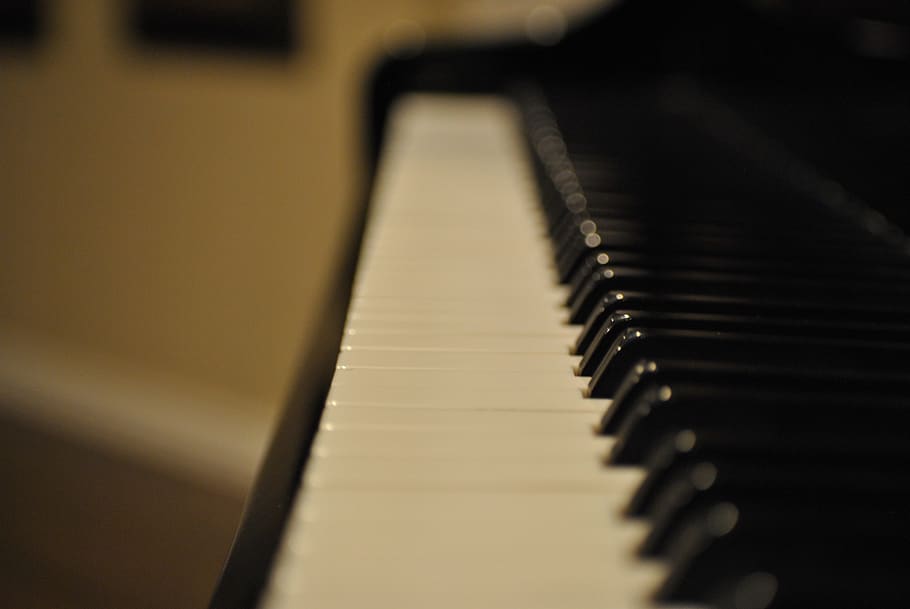 music, musical instrument, musical equipment, piano, piano key HD wallpaper