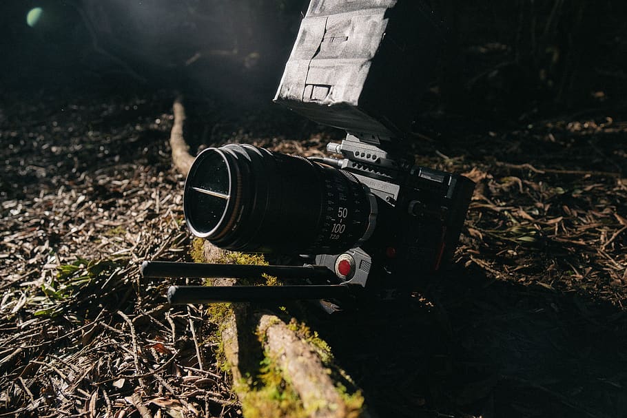 black trail camera near tree, electronics, camera lens, nature HD wallpaper
