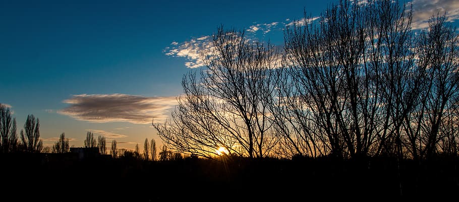 sunset, the sky, clouds, trees, silhouette, in the evening, HD wallpaper