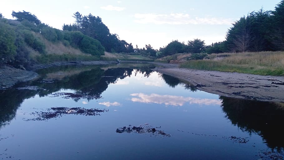 lagoon, evening, glassy, still, calm, water, sand, bushes, scrub HD wallpaper