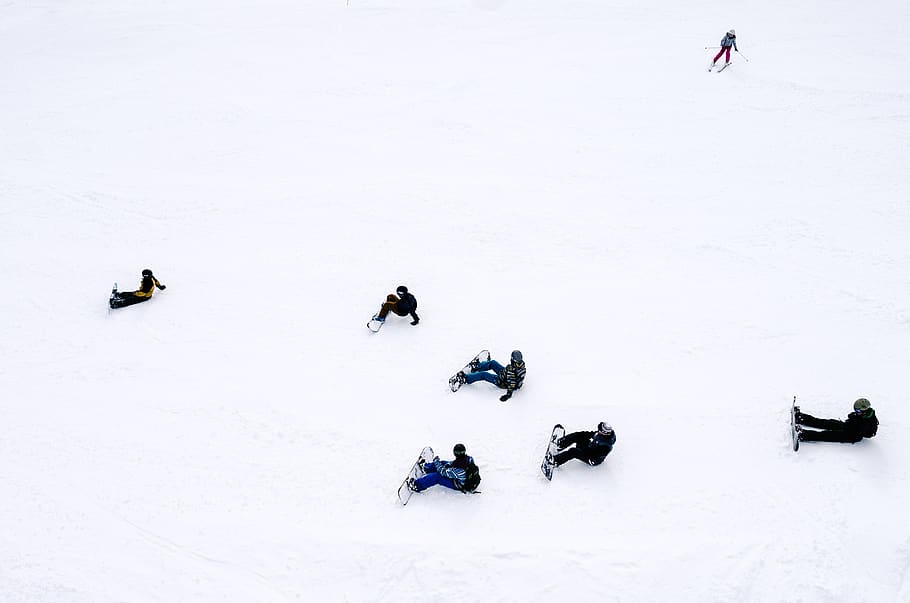 snow, winter, white, cold, weather, ice, snowboard, sport, hobby HD wallpaper