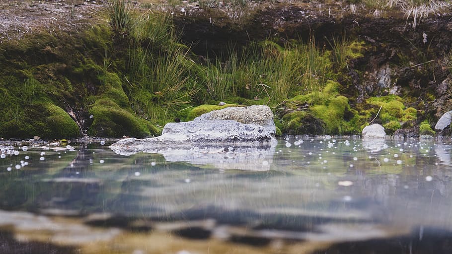 water, rock, plant, nature, no people, solid, tree, lake, waterfront HD wallpaper
