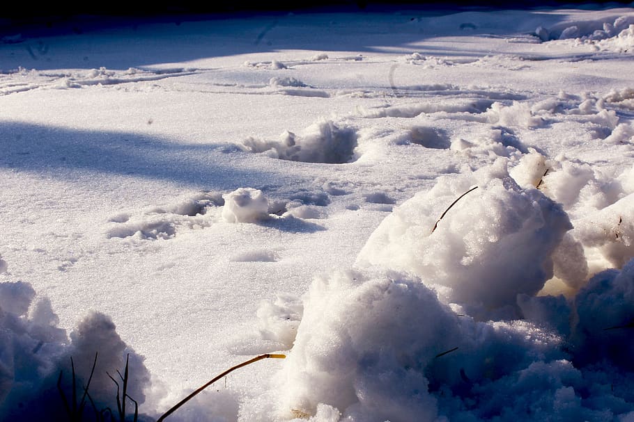snow, blue, landscape, cold, nature, white, ice, snowy, cold temperature HD wallpaper