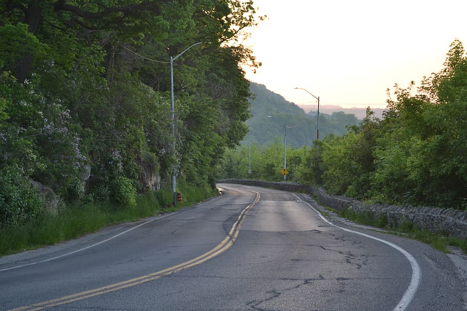 canada, hamilton, road, transportation, direction, tree, the way forward HD wallpaper
