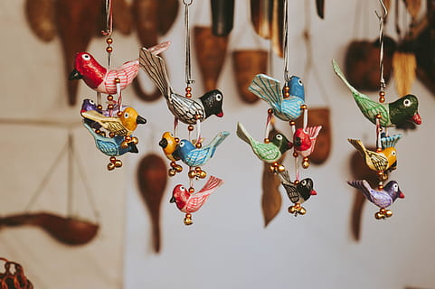 assorted birds figurine, toy, doll, animal, musical instrument HD wallpaper