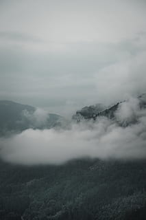 landscape photo of mountain with clouds, tree, forest, sky, fog HD wallpaper