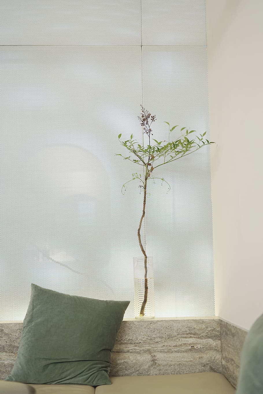 gray throw pillow inside room, home decor, cushion, plant, tree HD wallpaper