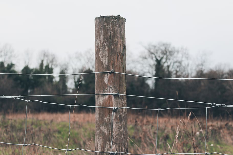 gray fence ahead, wire, barbed wire, field, siora, fence post HD wallpaper