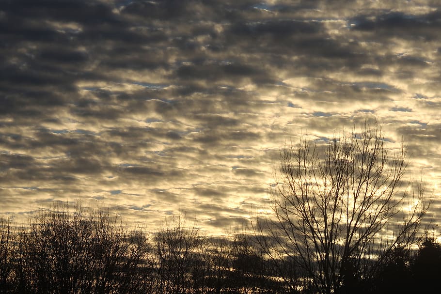 cloud, thick, atmospheric, cloudscape, landscape, nature, grey HD wallpaper