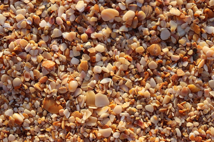 sand, seashells, summer, evening, full frame, backgrounds, large group of objects HD wallpaper