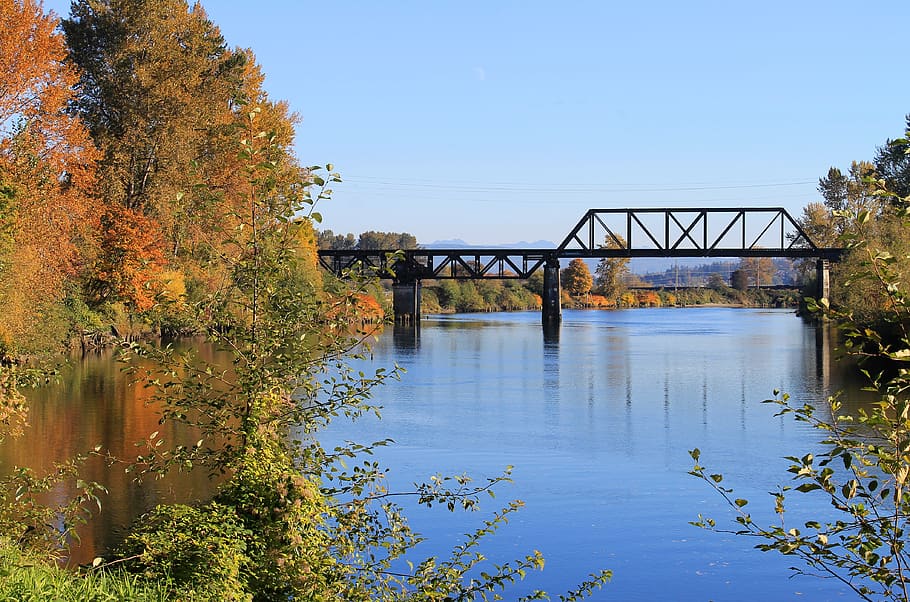 trees, autumn, fall, color, yellow, orange, river, water, reflection HD wallpaper