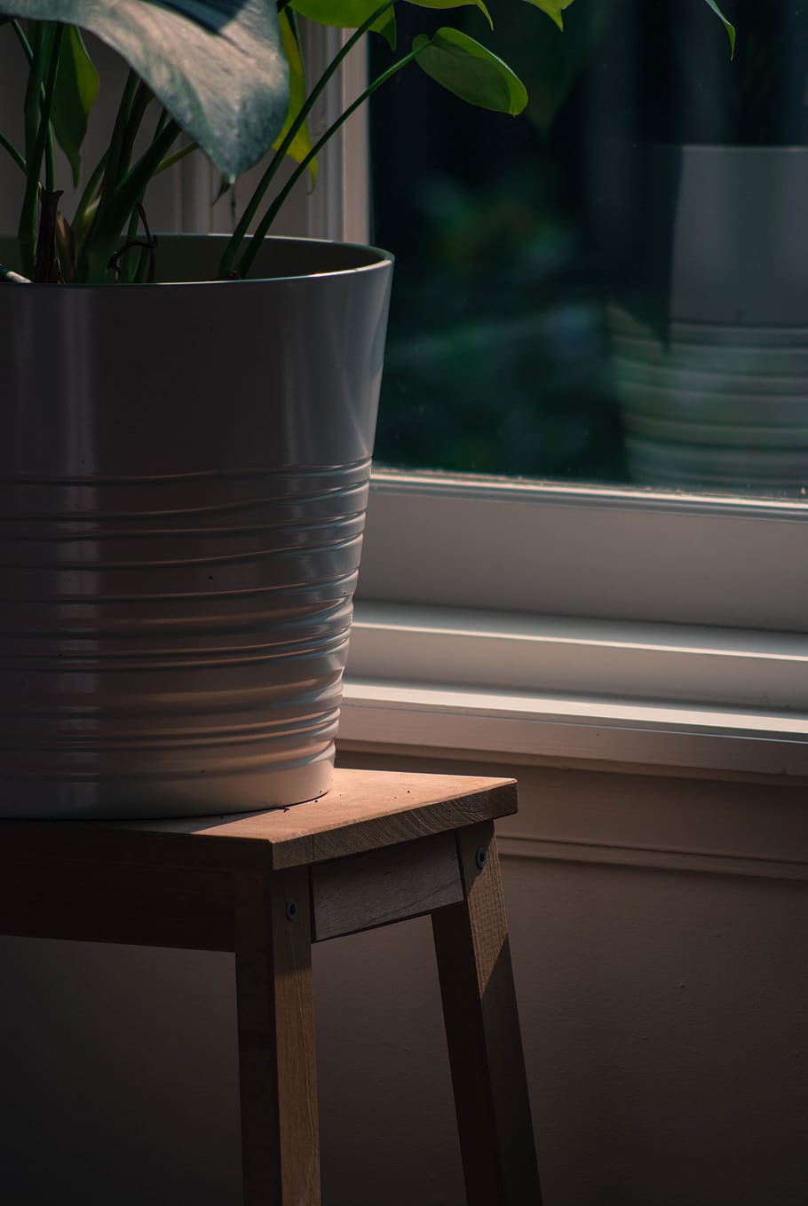 Interior, monstera, window, plant, table, no people, nature HD wallpaper
