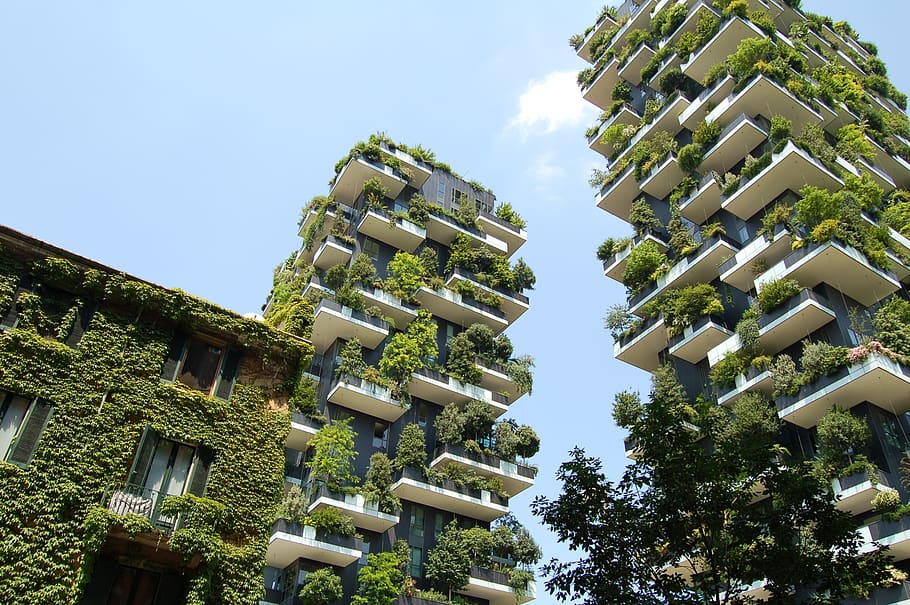 architecture, building, infrastructure, blue, sky, green, plant HD wallpaper