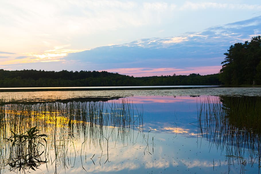 united states, pelham, lake, pond, forest, trees, water, color, HD wallpaper