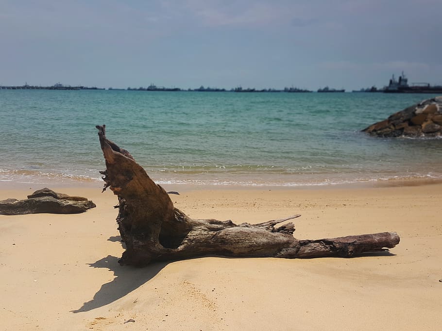 bed, beach, green, warm, voyage, shore, dark, gray, deep, ridge HD wallpaper