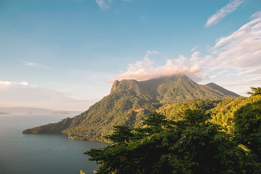 green-leafed tree, nature, outdoors, promontory, mountain, endaya cove HD wallpaper