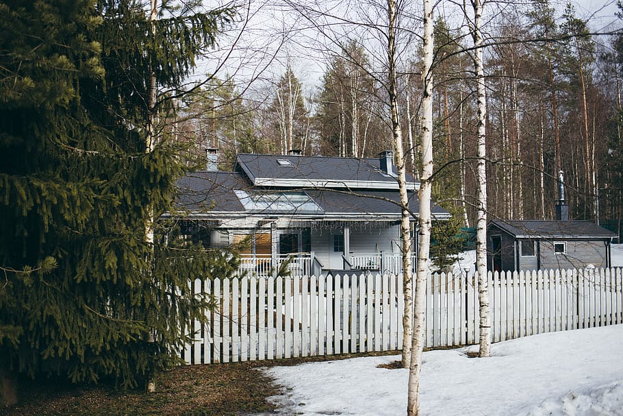 forest, apartment, building, trees, village, fence, nature, HD wallpaper