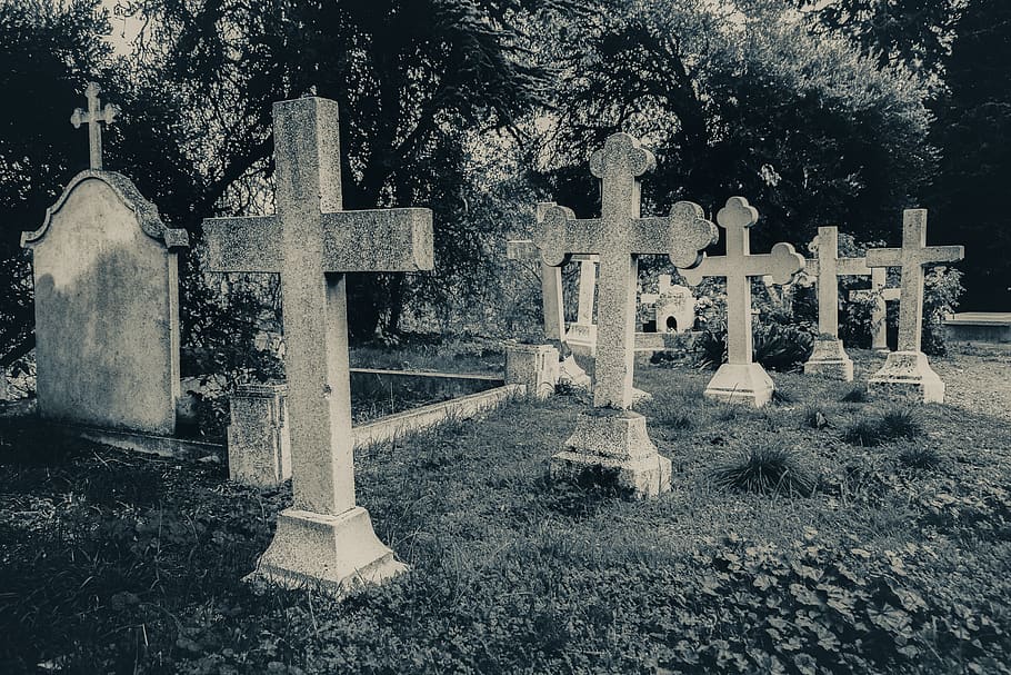 cemetery, old, cross, stone, graves, tree, tombstone, religion HD wallpaper