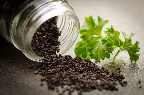 Black Pepper, herbal, kitchen, parsley, plant, spice, food and drink HD wallpaper