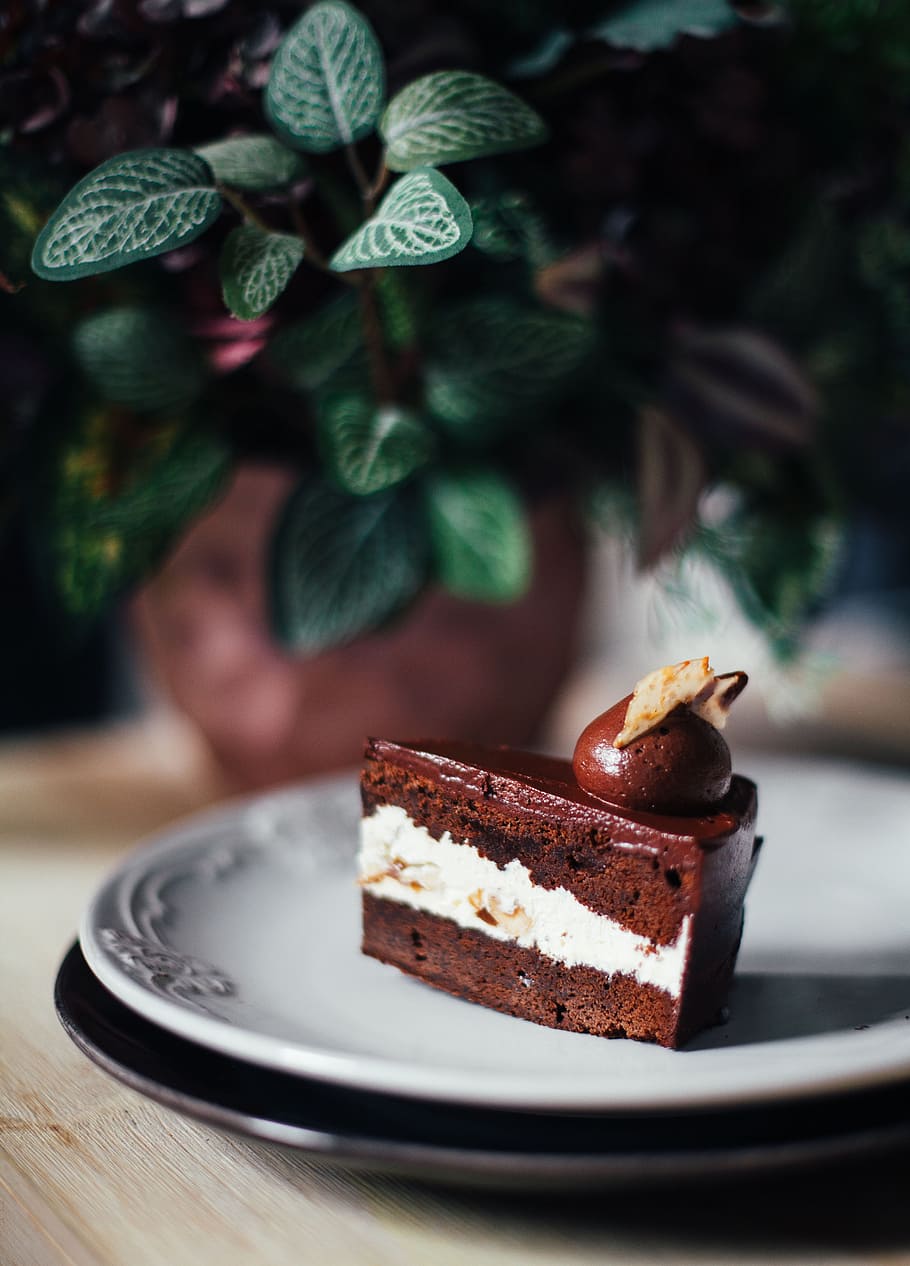 sliced cake on white ceramic plate, plant, leaf, leaves, eat HD wallpaper