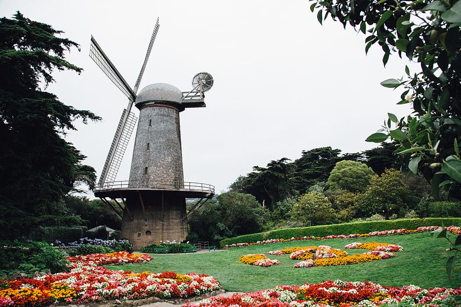gray windmill surrounded with trees during daytime, san francisco HD wallpaper