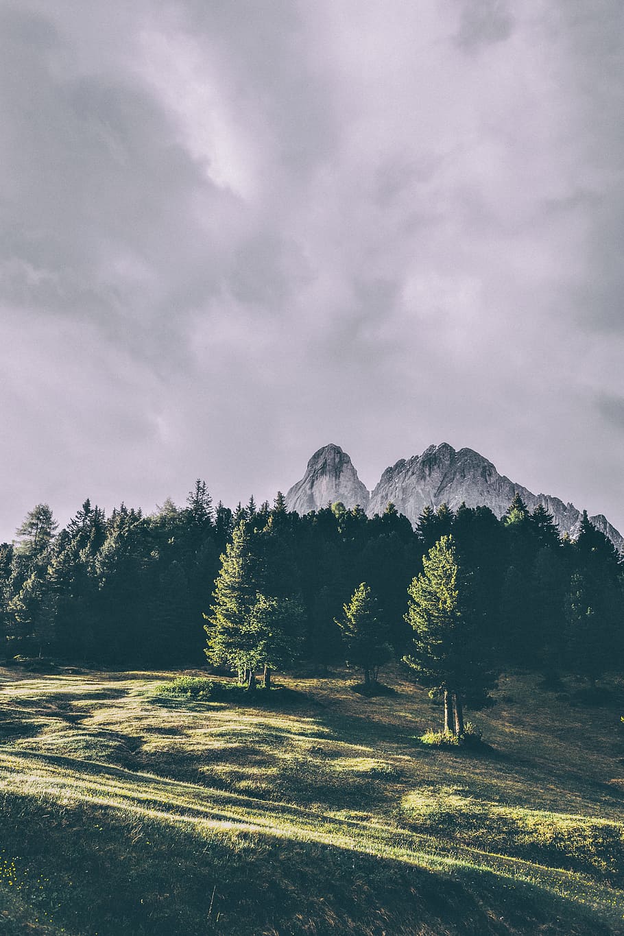green trees, nature, mountain, peak, forest, outdoor, landscape HD wallpaper