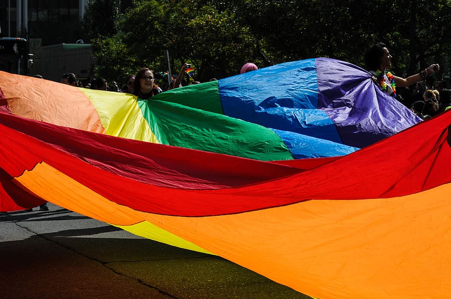 people holding multicolored tarpaulin during daytime, multi colored