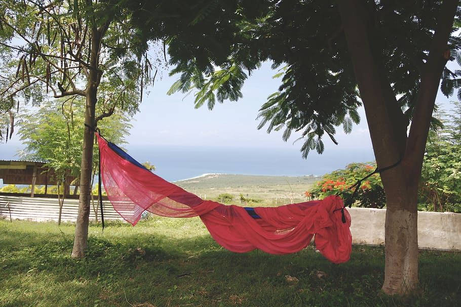haiti, nature, trees, hammock, ocean, landscape, caribbean, HD wallpaper