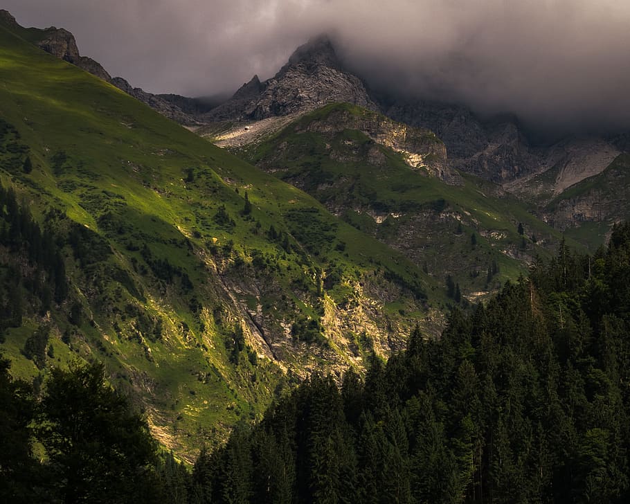 mountain with trees, cloud, grass, hill, forest, woodland, mist HD wallpaper
