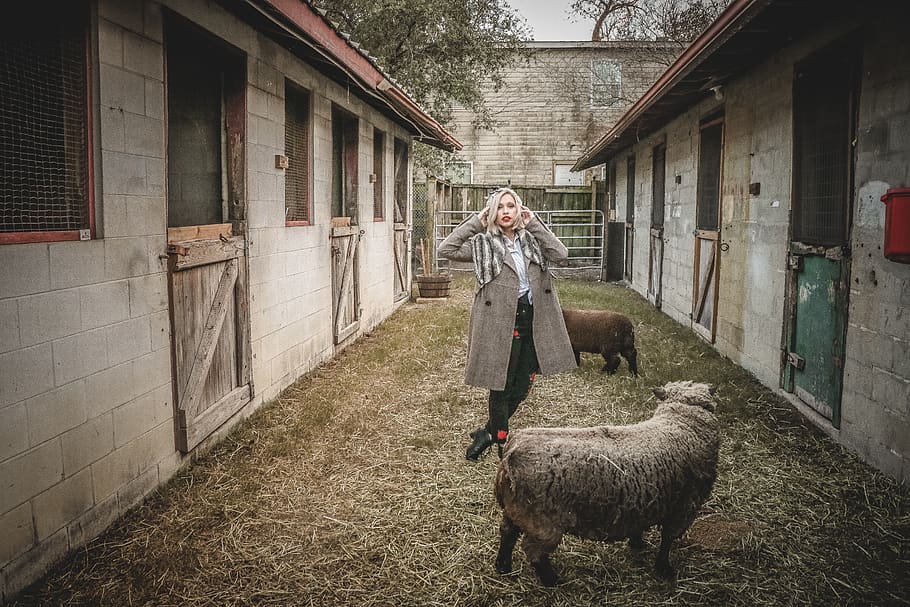 Woman Standing Near Sheep, animals, barn, coat, daylight, farm HD wallpaper