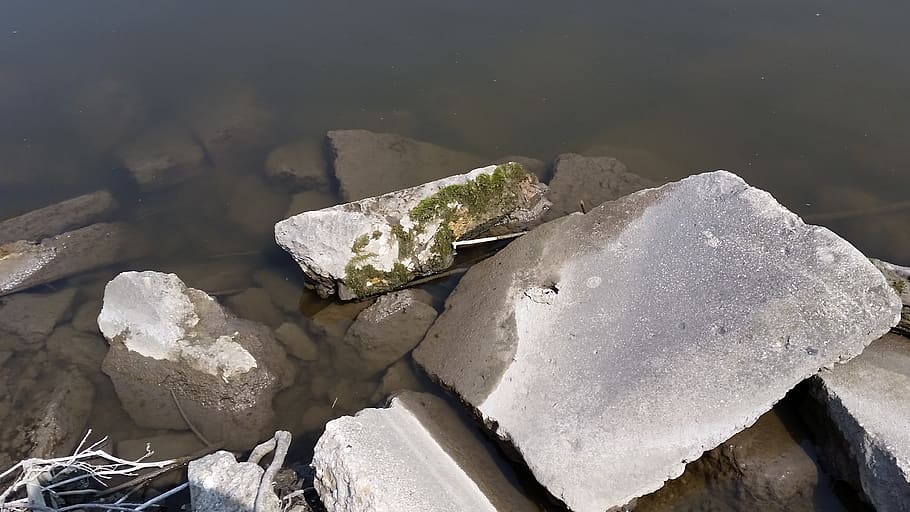 rocks, algie, river, dirty, clear, mold, stone, texture, water HD wallpaper