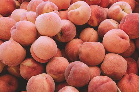 orange peaches, plant, food, fruit, produce, apricot, plum, persimmon HD wallpaper