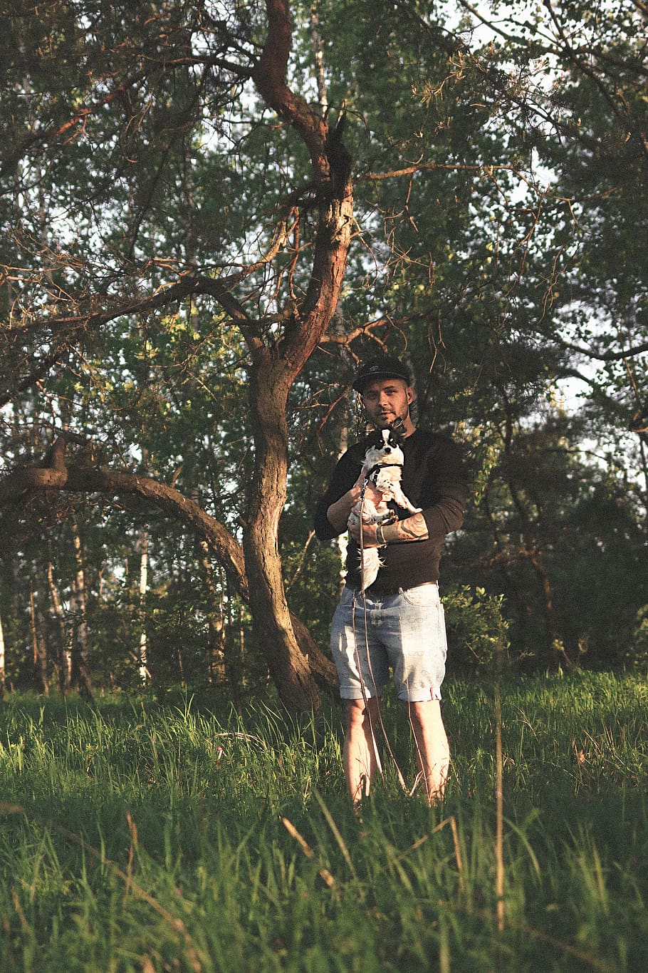 man, boy, guy, dog, chihuahua, nature, forest, vintage, trees HD wallpaper