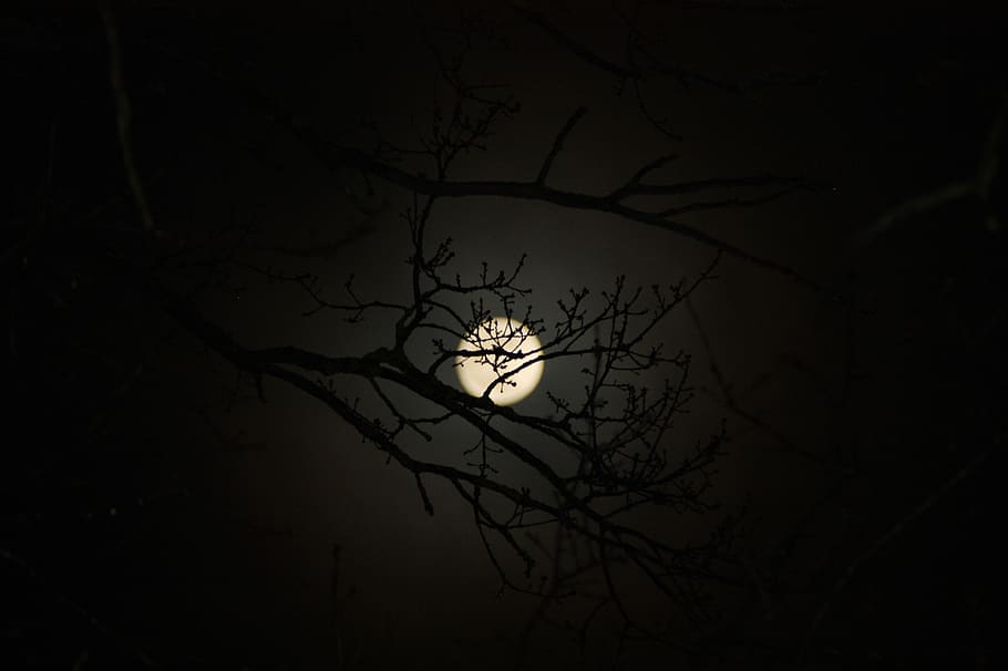 Beautiful Moon, Real And Art Pictures Gallery | Take a Quick Break | Beautiful  moon, Good night moon, Moon pictures