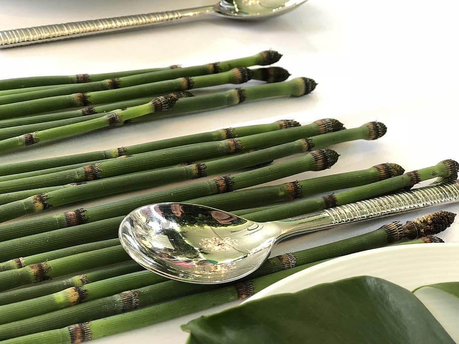dining, exotic, bamboo, wedding, table setting, spoon, dine HD wallpaper