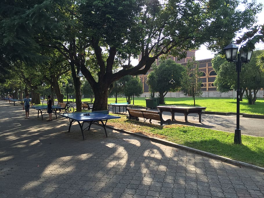 game, park, trees, seat, plant, bench, nature, growth, shadow HD wallpaper