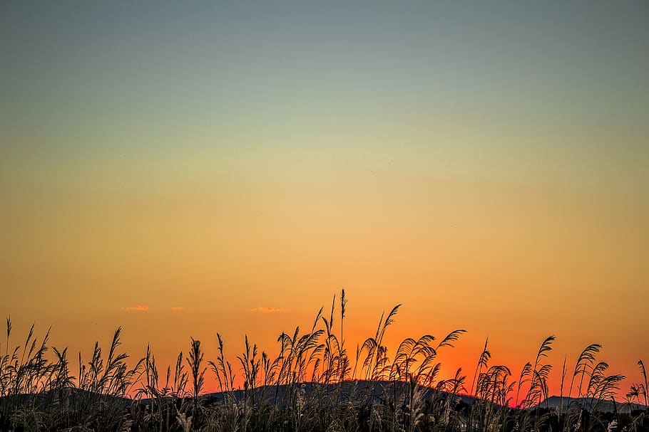 sol, sunset, nature, mountains, sky, landscape, beauty in nature HD wallpaper
