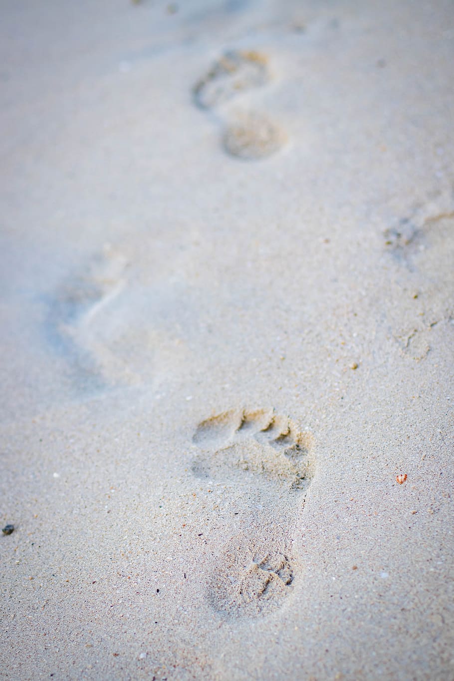Photo of Foot Print on the Seashore, beach, close -up, footprints HD wallpaper