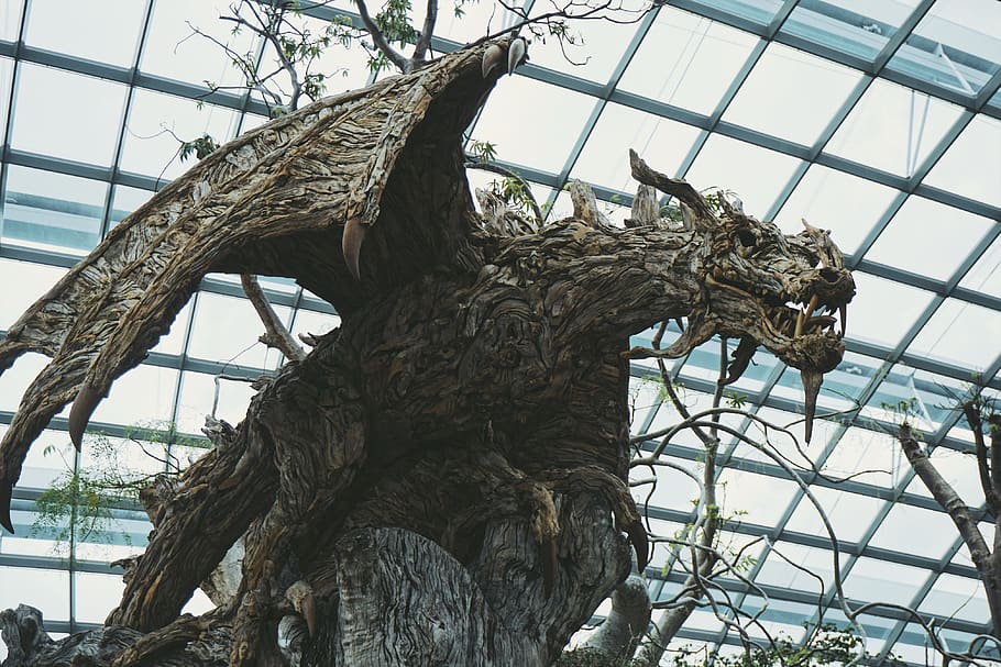 singapore, dragon, low angle view, no people, tree, day, sky HD wallpaper