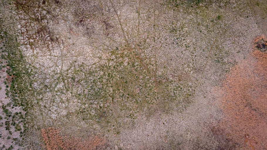 texture, soil, ground, plant, grass, sightseeing, apartments HD wallpaper