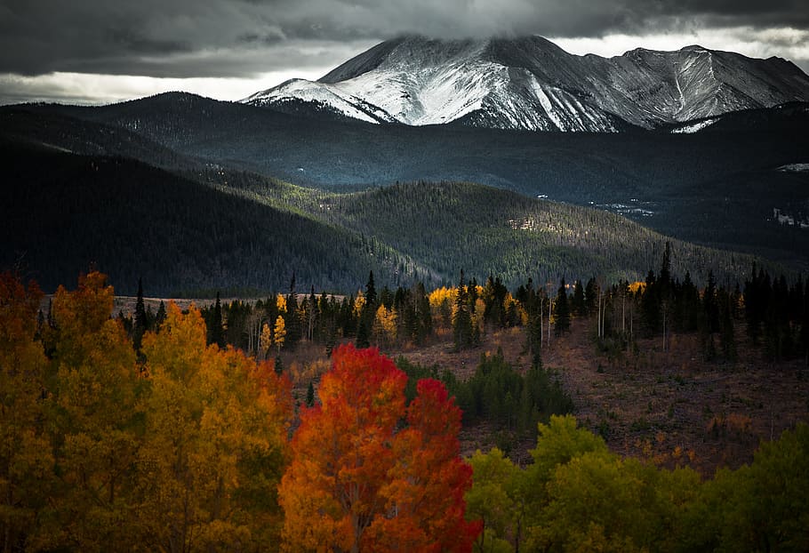 dark, sky, clouds, mountain, valley, landscape, nature, plants HD wallpaper