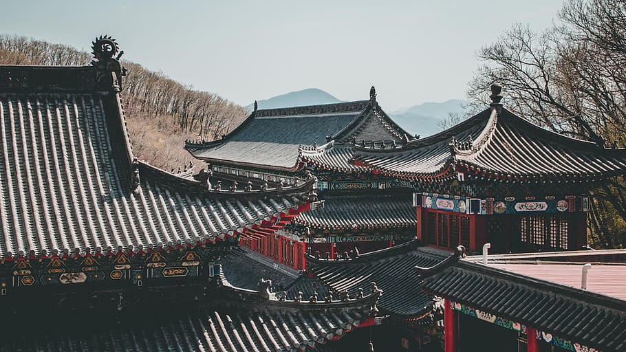 Black and Brown Temples, architecture, Asian architecture, buildings HD wallpaper