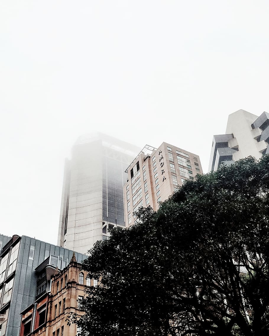 building exterior, architecture, built structure, sky, tree HD wallpaper